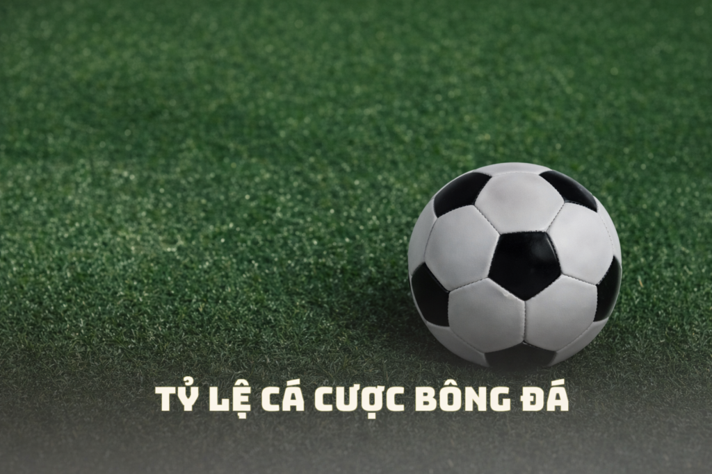 Tỷ lệ cược bóng đá